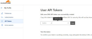 Copy API Token